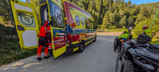 Intensywny tydzień na bieszczadzkich szlakach. Ratownicy interweniowali kilka razy [ZDJĘCIA]