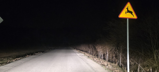 Uwaga kierowcy! Plaga zdarzeń z dziką zwierzyną w powiecie sanockim. Policja apeluje o rozwagę