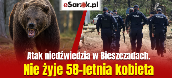 PILNE: Tragedia w Płonnej. Śmiertelny atak niedźwiedzia. Nie żyje mieszkanka powiatu sanockiego