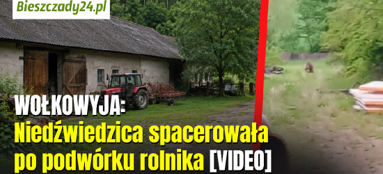 WOŁKOWYJA: Niedźwiedzica spacerowała po podwórku rolnika [VIDEO]