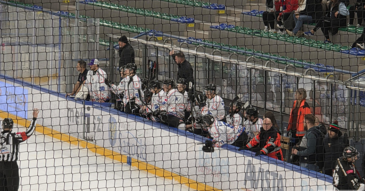 HOKEJ. Bez bramek i bez punktów. STS przegrywa w Katowicach