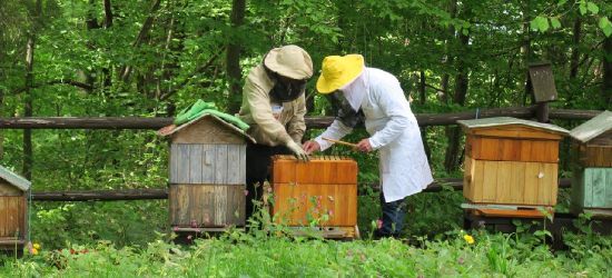 W „lesie pszczelarskim” świętowali Dzień Pszczół (ZDJĘCIA)