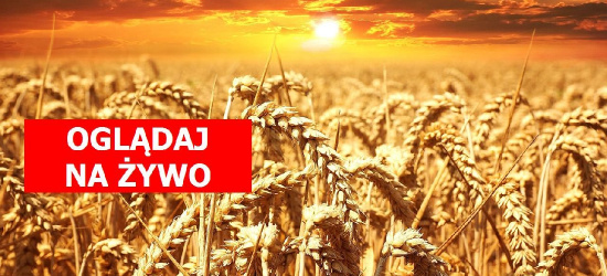 Projekt uchwały w sprawie obrony polskich rolników. Komisja (NA ŻYWO)