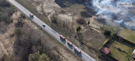 Pożar traw przy obwodnicy. W akcji 5 zastępów straży [ZDJĘCIA Z LOTU PTAKA]