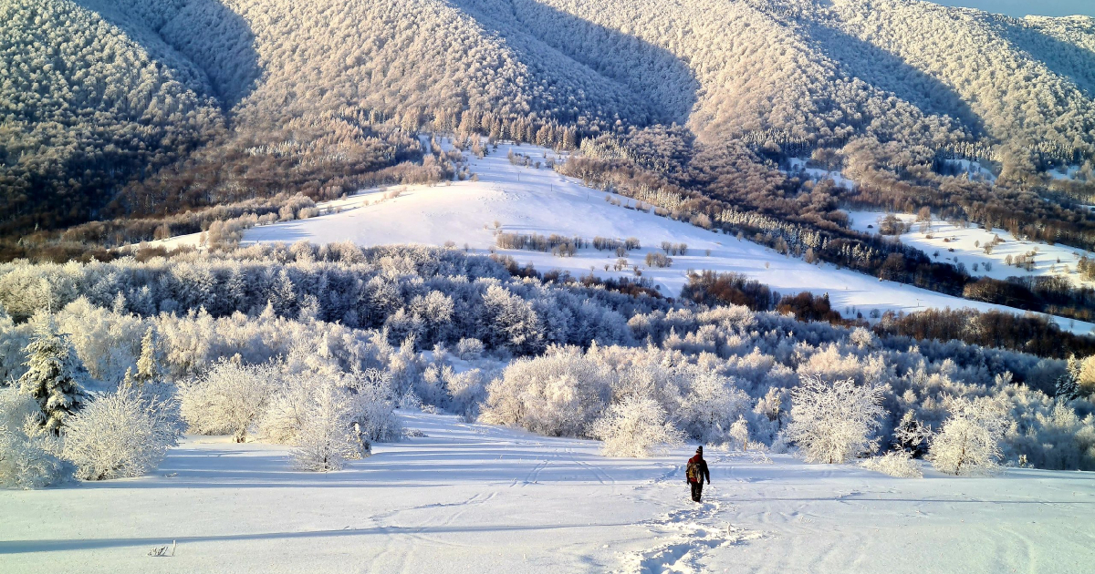 Zjazdy na sankach i „jabłuszkach” w Bieszczadzkim Parku Narodowym. Apel do turystów