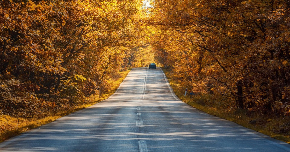 Jesienne warunki na drogach. Policja apeluje o ostrożność