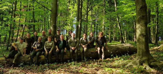 „Las Olbrzymów” może stać się rezerwatem. Trwają konsultacje nad projektem ochrony wyjątkowego drzewostanu