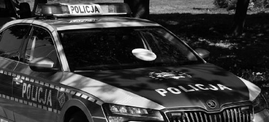 ROZPUCIE: Tragiczny wypadek podczas wycinki drzew. Nie żyje 43-letni mężczyzna