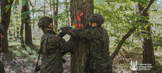 Eksplozja szkoleniowa 3 PBOT – saperzy pokazują precyzję i skuteczność działania