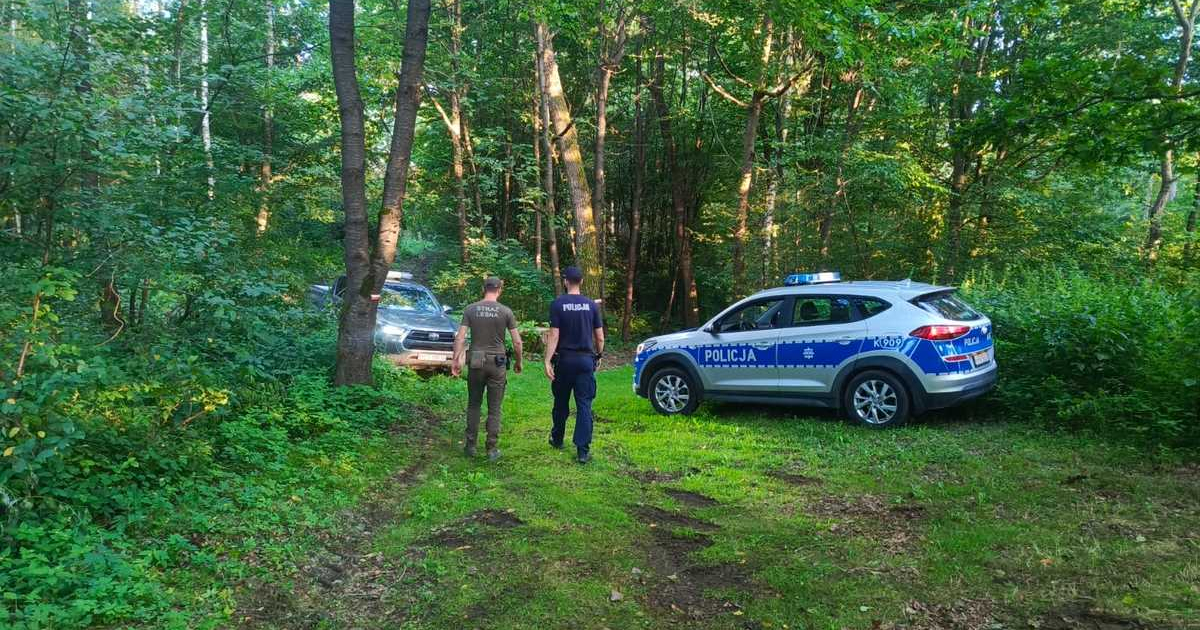 żabole i Straż Leśna patrolują lasy. Trwa akcja „Jesień 26”