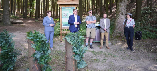 Otwarto ścieżkę przyrodniczo-historyczną „Zamczysko”. Nowa atrakcja na mapie Sanoka