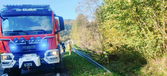 BIESZCZADY: Wiatr powala drzewa. Strażacy w akcji (ZDJĘCIA)