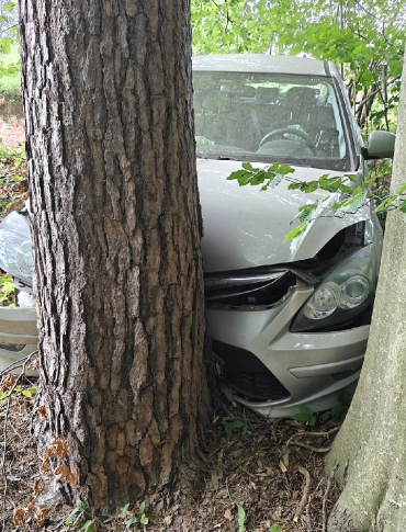 WOŁKOWYJA: Samochód zjechał w leśną drogę i uderzył w drzewo! [FOTO]