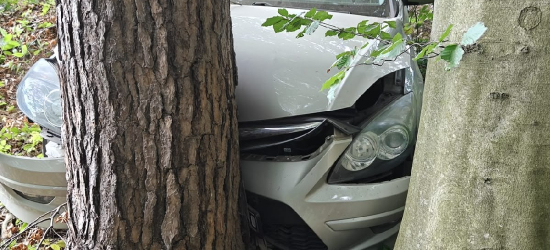 WOŁKOWYJA: Samochód zjechał w leśną drogę i uderzył w drzewo! [FOTO]