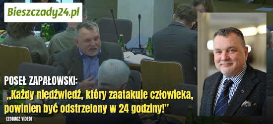 POSEŁ ZAPAŁOWSKI: „Każdy niedźwiedź, który zaatakuje człowieka, powinien być odstrzelony w 24 godziny!”