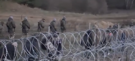 Najnowsze nagrania z granicy polsko-białoruskiej (VIDEO)