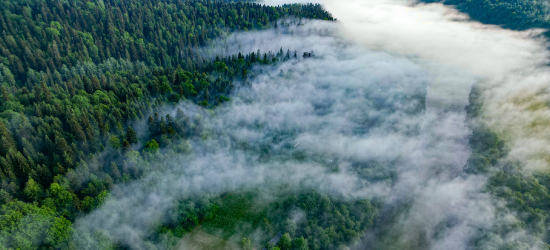 Weekend z BdPN. Przedwiośnie w Bieszczadach