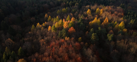 Czasowe zamknięcie szlaku turystycznego w Bykowcach. Trwają prace gospodarcze