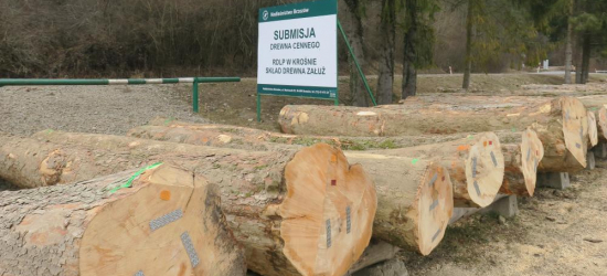 Osiągnięte ceny w pełni pokrywają koszty i dają zysk (FOTO)