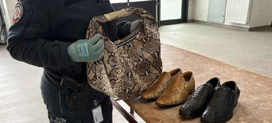 Luksusowa galanteria z pytona i krokodyla na granicy. 56-latkowi grozi więzienie [ZDJĘCIA]