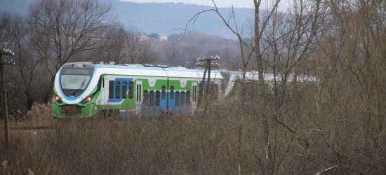 Młoda obywatelka Ukrainy dostała drgawek i straciła przytomność w pociągu