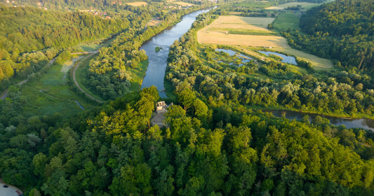 W niedzielę z PTTK do odnowionych ruin zamku Sobień!