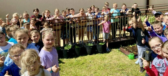 NIEBIESZCZANY: Przy Szkole Podstawowej powstał Eko-Ogródek (ZDJĘCIA)