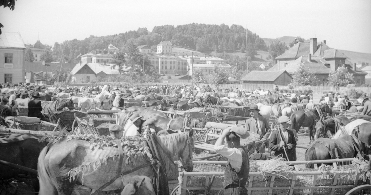 Dawny Sanok w obiektywie. Podróż w czasie na archiwalnych fotografiach