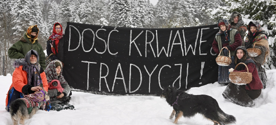 Grzybiarki kontra myśliwi. Zimowe polowania w Bieszczadach przerwane [ZDJĘCIA]