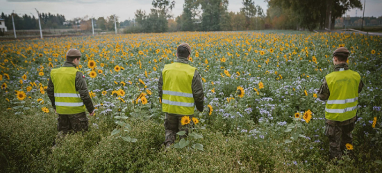 Niezidentyfikowany obiekt nad Polską? Wojsko prowadzi poszukiwania. Poderwano polskie myśliwce!
