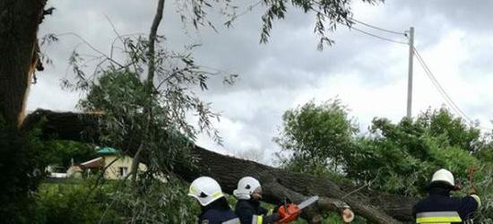 Kabaretowe show w rocznicę rzezi wołyńskiej. „To śmianie się z ofiar tej zbrodni” (FILM)
