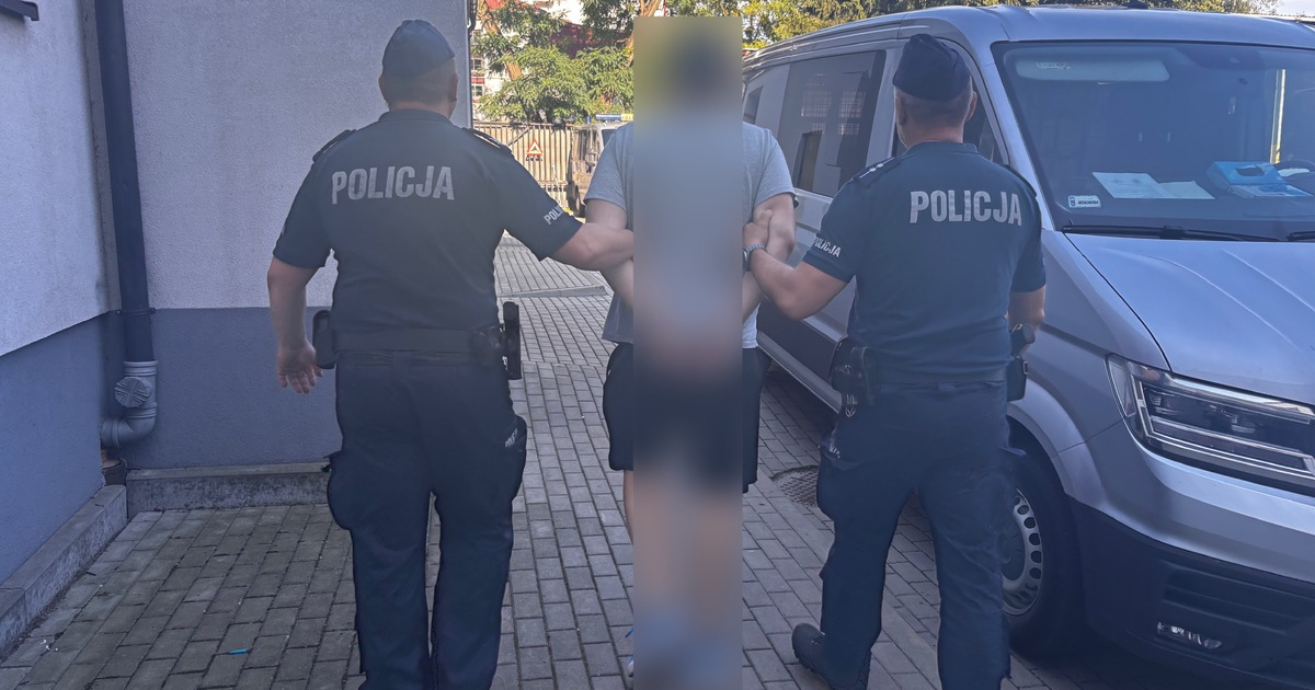 Podpalał pojemniki na śmieci. 30-latek trafił do aresztu