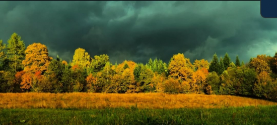 Rafał potrzebuje pomocy – walczy o przetrwanie