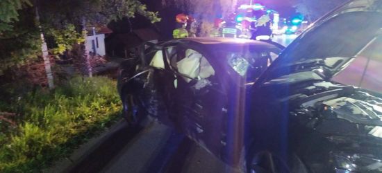 Audi uderzyło w drzewo. W samochodzie pięciu nastolatków (ZDJĘCIA)