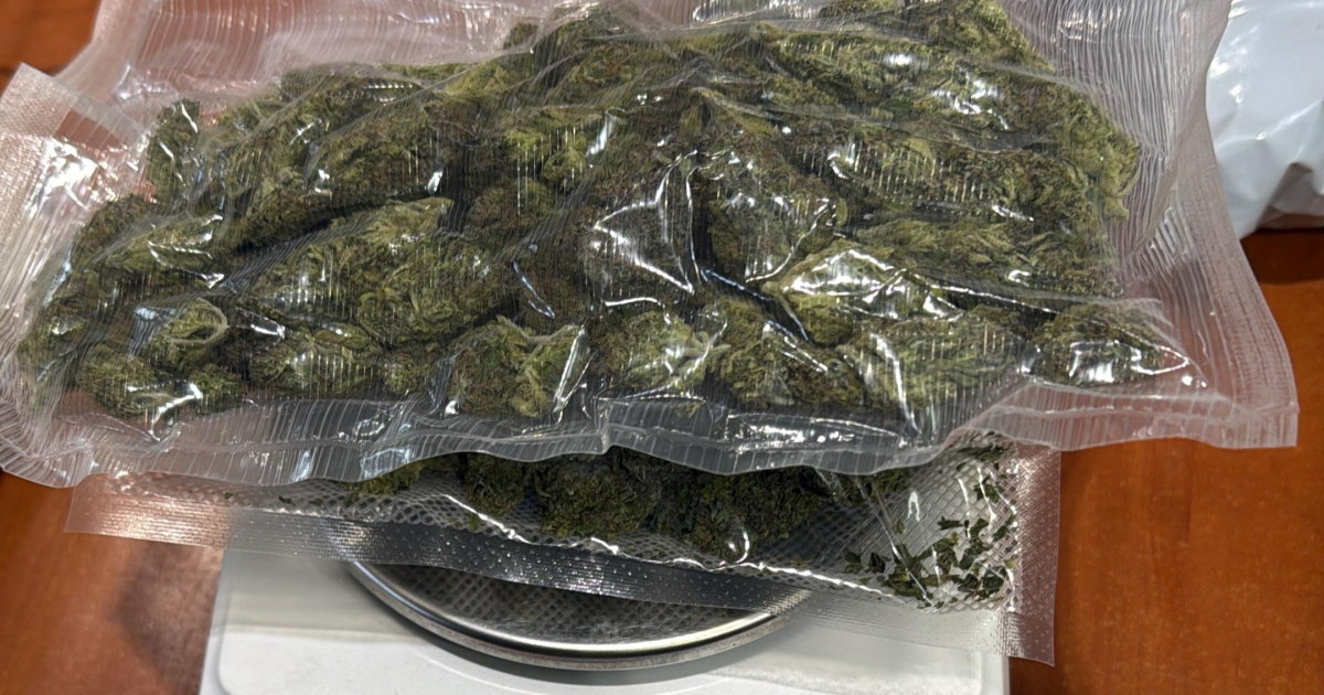 Ponad 93 kilogramy narkotyków przejęte podczas ogólnopolskiej operacji „Kryształ”