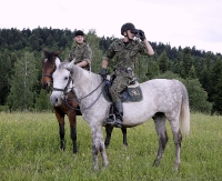 Jedyni tacy strażnicy w Polsce. Konie służbowe w ochronie granicy państwowej (ZDJĘCIA)