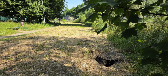 Niebezpieczna studzienka przy popularnej trasie spacerowej w Sanoku. Mieszkańcy: „Tu może dojść do tragedii” (VIDEO)