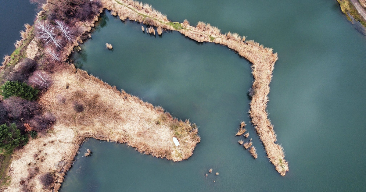 SANOK: „Sosenki” zostają w rękach wędkarzy. PZW Krosno wygrywa przetarg na dzierżawę stawów