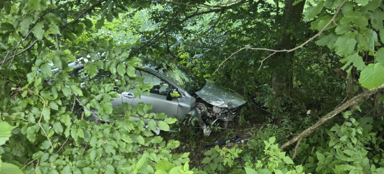 POLANKI: Samochód osobowy wypadł z drogi (ZDJĘCIA)