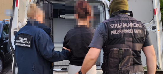 Fikcyjne zatrudnienie przepustką do strefy Schengen. Straż Graniczna rozbiła grupę przestępczą
