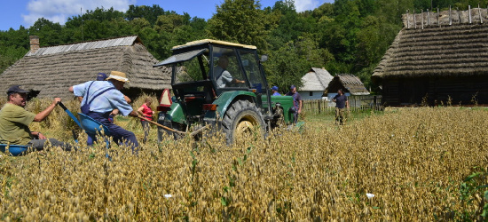 W skansenie już po żniwach (FOTO)