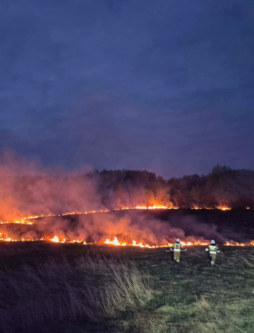 Nocna akcja strażaków w Krzemiennej. Płonęły nieużytki rolne [ZDJĘCIA]