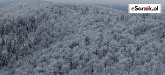 GMINA SANOK: Szlaki czasowo zamknięte. Ważny komunikat dla turystów