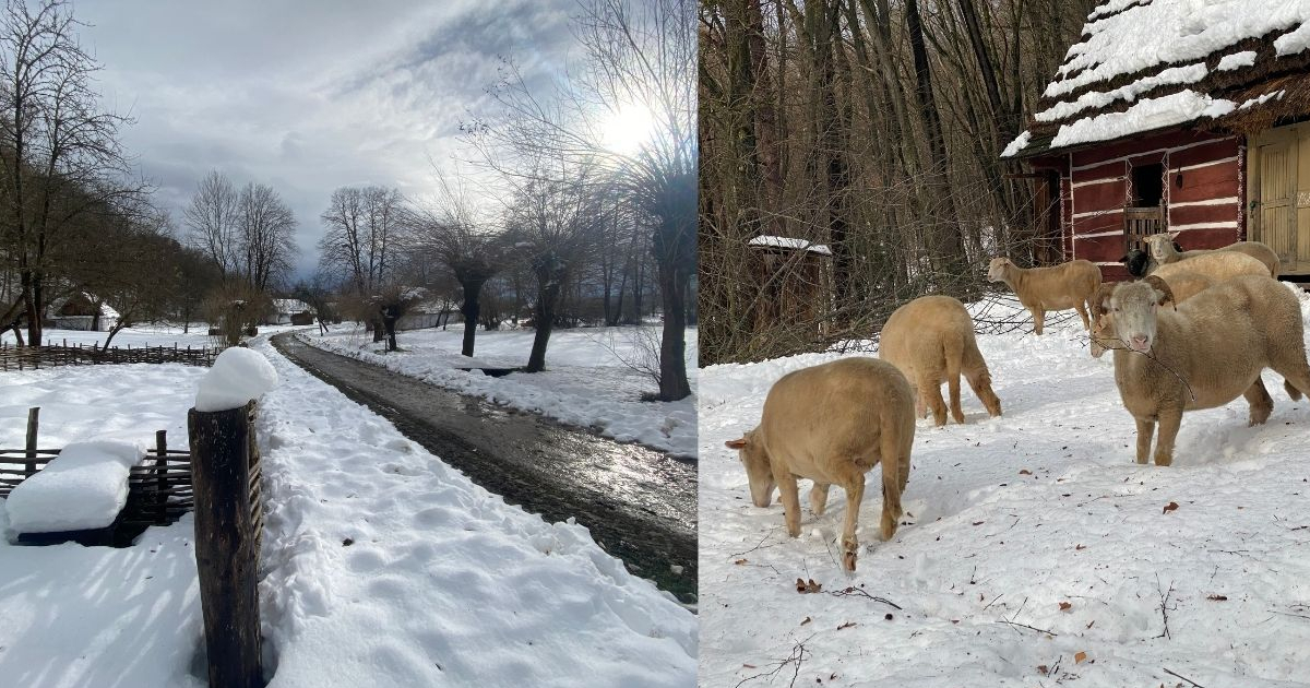 Sanocki skansen ponownie otwarty. Niektóre ścieżki nie do przejścia [ZDJĘCIA]
