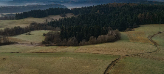 BALIGRÓD: Tajemnicze znalezisko w lesie. Co skrywała bieszczadzka ziemia?