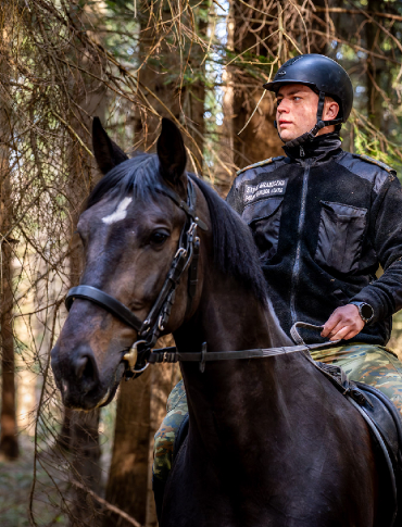 Nowe konie w służbie Bieszczadzkiego Oddziału Straży Granicznej. Cel Pal i R-Emil już patrolują granicę [VIDEO, ZDJĘCIA]