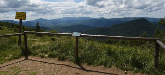 Góry po horyzont… Bieszczadzkie widoki (ZDJĘCIE)