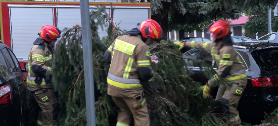 Gwałtowna burza przeszła przez Sanok. Strażacy interweniowali niemal 50 razy! (ZDJĘCIA)