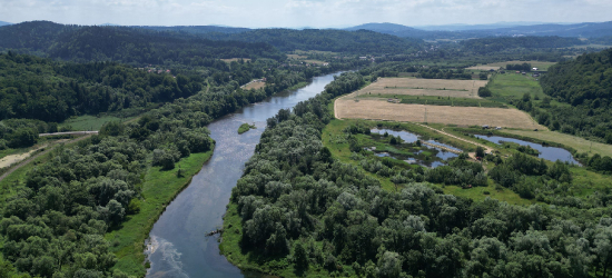 Wyrusz śladami historii. Już wkrótce otwarcie nowej ścieżki „ZAMCZYSKO”