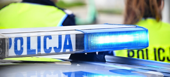 ZAGÓRZ. Czworonóg na jezdni stwarzał zagrożenie. Interweniowała policja